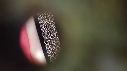 Coed gick titt porr med på att hårt gangbang